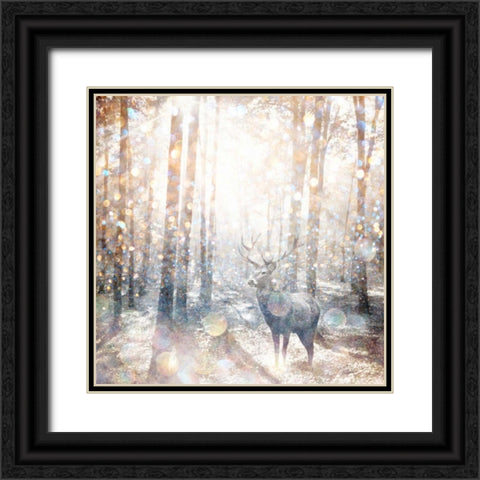 Mystical Forest 2 Black Ornate Wood Framed Art Print with Double Matting by Jakobs, Beau