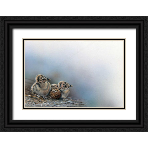 Baby birds Black Ornate Wood Framed Art Print with Double Matting by Weenink, Jan