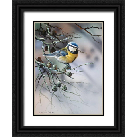 Bird in fir-tree Black Ornate Wood Framed Art Print with Double Matting by Weenink, Jan