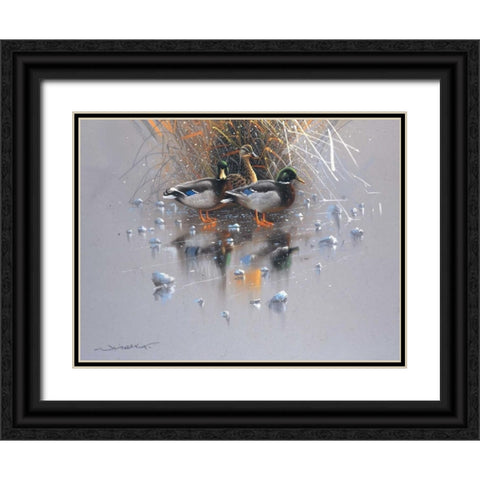 Three ducks Black Ornate Wood Framed Art Print with Double Matting by Weenink, Jan