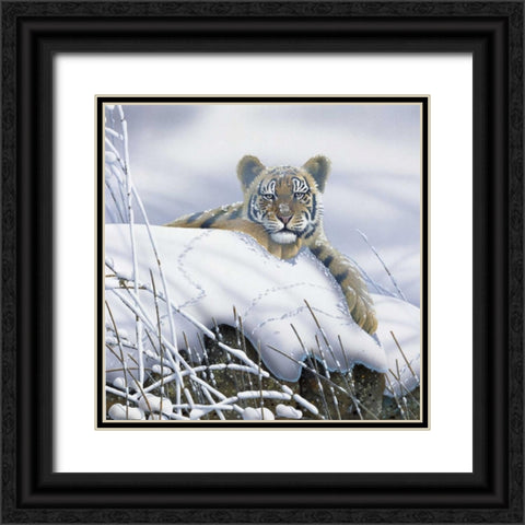 Tiger in the snow Black Ornate Wood Framed Art Print with Double Matting by Weenink, Jan
