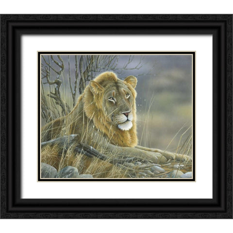 Lion Black Ornate Wood Framed Art Print with Double Matting by Weenink, Jan