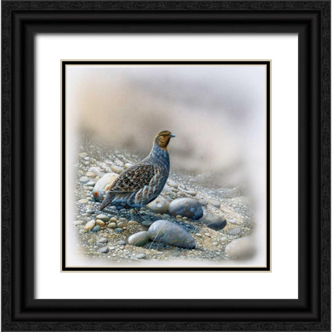 Bird between stones Black Ornate Wood Framed Art Print with Double Matting by Weenink, Jan