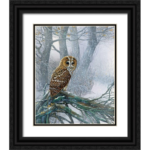 Owl in snowy forest Black Ornate Wood Framed Art Print with Double Matting by Weenink, Jan