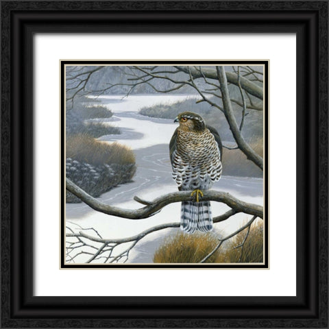 Hawk in tree Black Ornate Wood Framed Art Print with Double Matting by Weenink, Jan