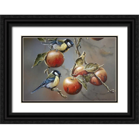 Two birds with apples Black Ornate Wood Framed Art Print with Double Matting by Weenink, Jan