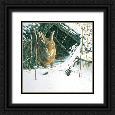 Rabbit  Black Ornate Wood Framed Art Print with Double Matting by Weenink, Jan