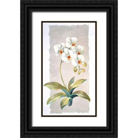 Orchid Black Ornate Wood Framed Art Print with Double Matting by Kumorek, Krysztov
