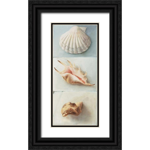 Shell selection I Black Ornate Wood Framed Art Print with Double Matting by du Ciel, Milieu