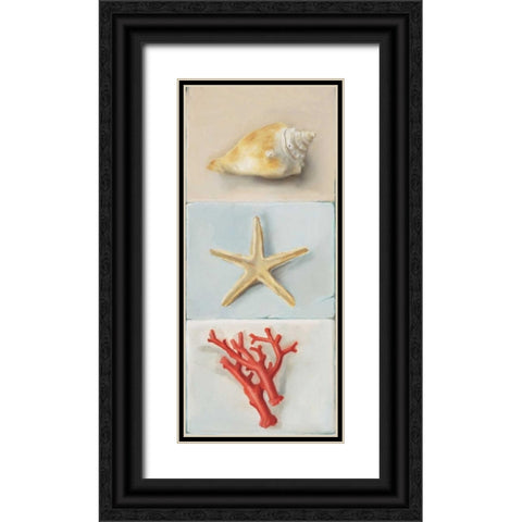Shell selection II Black Ornate Wood Framed Art Print with Double Matting by du Ciel, Milieu