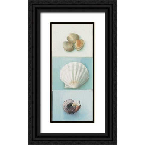 Shell selection III Black Ornate Wood Framed Art Print with Double Matting by du Ciel, Milieu