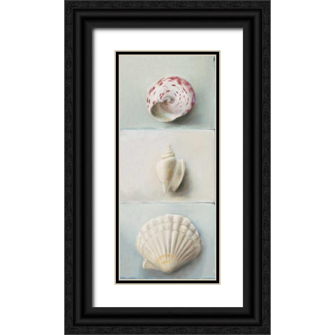 Shell selection IV Black Ornate Wood Framed Art Print with Double Matting by du Ciel, Milieu