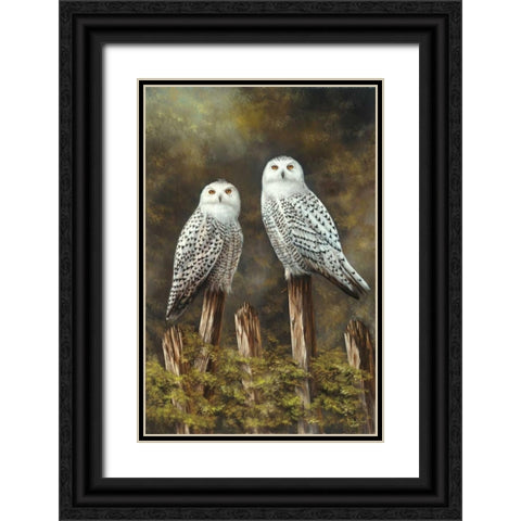 Two Owls Black Ornate Wood Framed Art Print with Double Matting by Schutte, Michel