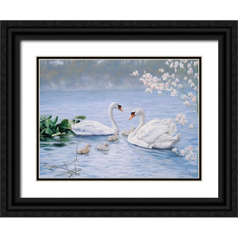Proud swan family Black Ornate Wood Framed Art Print with Double Matting by Motz, Peter