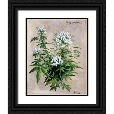 Botanical bouquet II Black Ornate Wood Framed Art Print with Double Matting by Motz, Peter