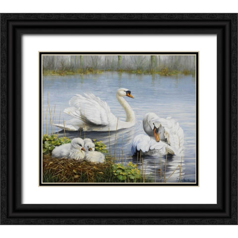 Swans Black Ornate Wood Framed Art Print with Double Matting by Motz, Peter