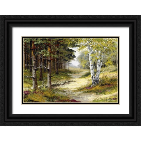 Nature walk Black Ornate Wood Framed Art Print with Double Matting by Withaar, Reint