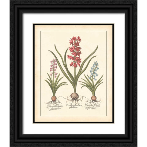 DETAILED FLORAL I Black Ornate Wood Framed Art Print with Double Matting by Artique Studio