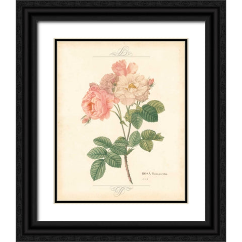 DETAILED FLORAL II Black Ornate Wood Framed Art Print with Double Matting by Artique Studio