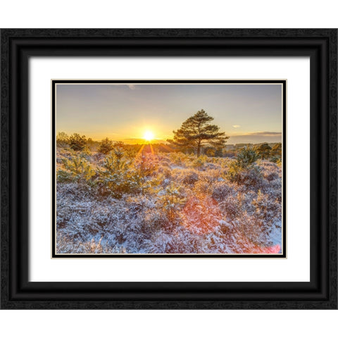 Winter sunset in countryside Black Ornate Wood Framed Art Print with Double Matting by Frank, Assaf