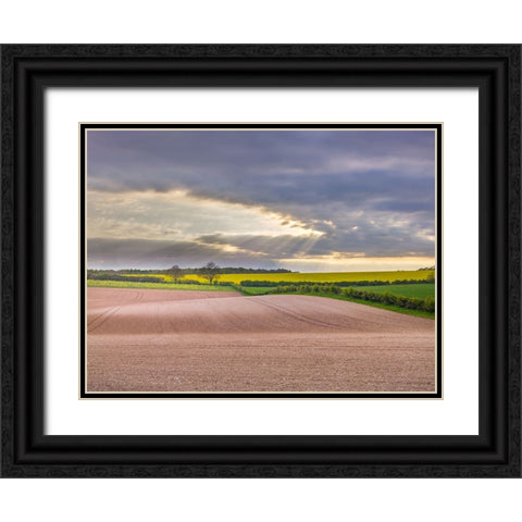 Farm fields in Hampshire during spring Black Ornate Wood Framed Art Print with Double Matting by Frank, Assaf