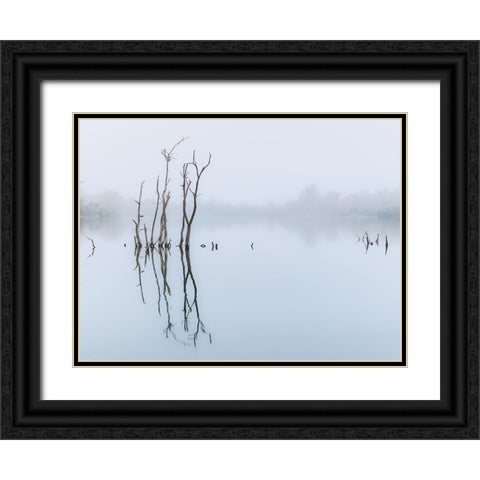Branches in lake, reflection Black Ornate Wood Framed Art Print with Double Matting by Frank, Assaf
