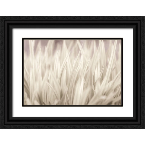 Grass Black Ornate Wood Framed Art Print with Double Matting by Frank, Assaf