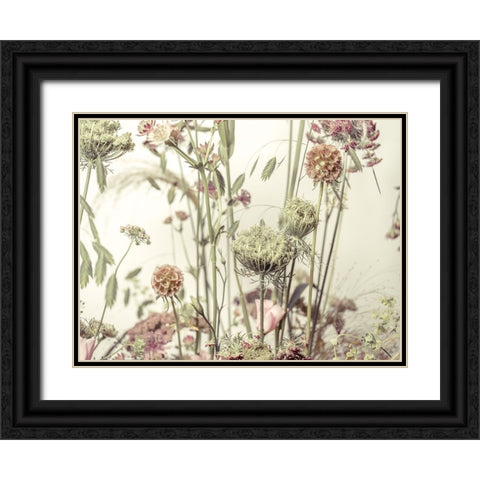 Meadow Flowers Black Ornate Wood Framed Art Print with Double Matting by Frank, Assaf