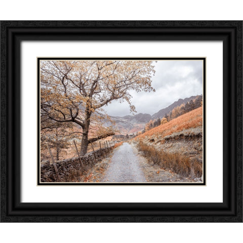 Countryside dirt road Black Ornate Wood Framed Art Print with Double Matting by Frank, Assaf