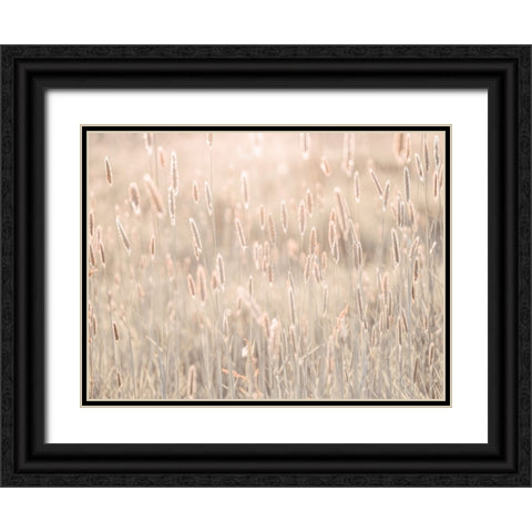 Summer meadow Black Ornate Wood Framed Art Print with Double Matting by Frank, Assaf