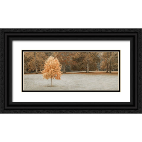 Tree in autumn park Black Ornate Wood Framed Art Print with Double Matting by Frank, Assaf