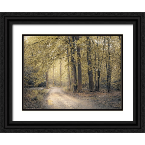Pathway through forest Black Ornate Wood Framed Art Print with Double Matting by Frank, Assaf
