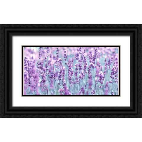 Lavender Black Ornate Wood Framed Art Print with Double Matting by Frank, Assaf