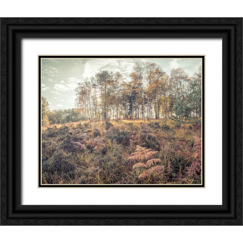 Forest with tall trees and foliage Black Ornate Wood Framed Art Print with Double Matting by Frank, Assaf