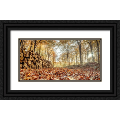 Stack of tree logs in autumn forest Black Ornate Wood Framed Art Print with Double Matting by Frank, Assaf