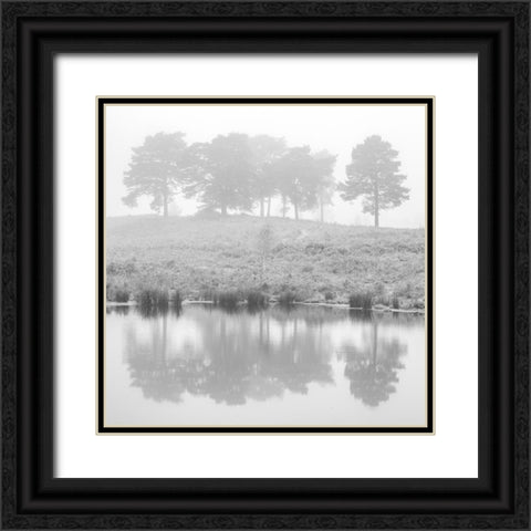 Misty Pine trees-reflection Black Ornate Wood Framed Art Print with Double Matting by Frank, Assaf