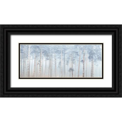 Misty Forest Black Ornate Wood Framed Art Print with Double Matting by Frank, Assaf