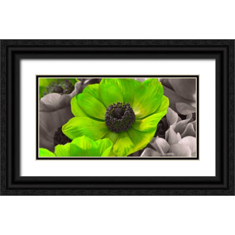 AF20111223 Anemone 008C15-2 Green Black Ornate Wood Framed Art Print with Double Matting by Frank, Assaf