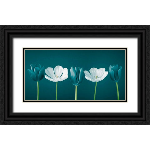 AF20120424 Tulips 350C09 Black Ornate Wood Framed Art Print with Double Matting by Frank, Assaf