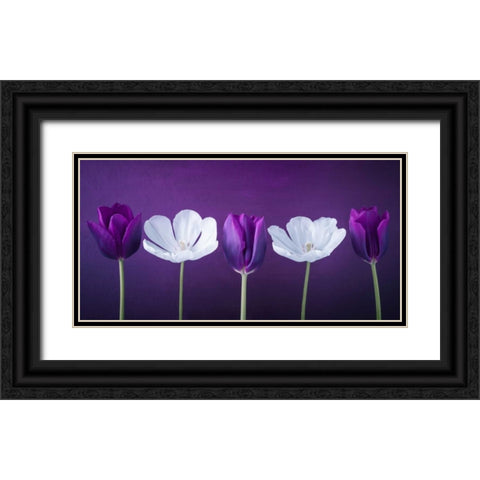 AF20120424 Tulips 351C13 Black Ornate Wood Framed Art Print with Double Matting by Frank, Assaf