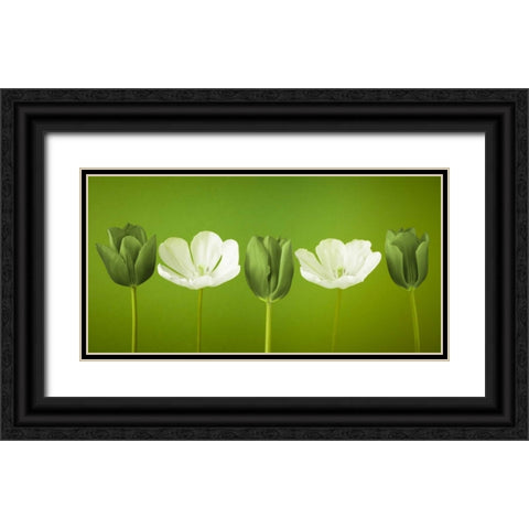 AF20120424 Tulips 349C13 Black Ornate Wood Framed Art Print with Double Matting by Frank, Assaf