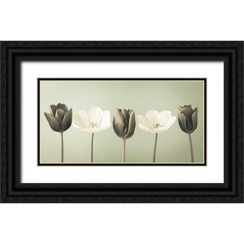 AF20120424 Tulips 353C04 Black Ornate Wood Framed Art Print with Double Matting by Frank, Assaf