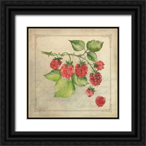 Rasberry Collage Black Ornate Wood Framed Art Print with Double Matting by Marrott, Stephanie