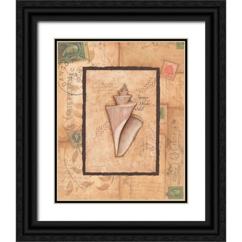 Wonder Shell Black Ornate Wood Framed Art Print with Double Matting by Marrott, Stephanie