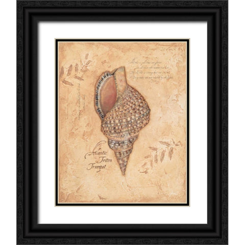 Atlantic Triton Black Ornate Wood Framed Art Print with Double Matting by Marrott, Stephanie