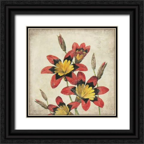 Red Lily Flower Black Ornate Wood Framed Art Print with Double Matting by Marrott, Stephanie