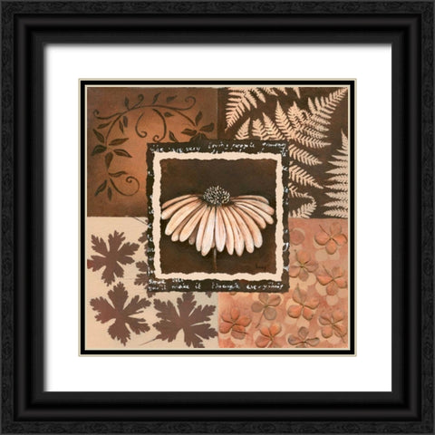 Flower in square IV Black Ornate Wood Framed Art Print with Double Matting by Hedy