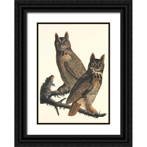 Great Horned Owl Black Ornate Wood Framed Art Print with Double Matting by Audubon, John James