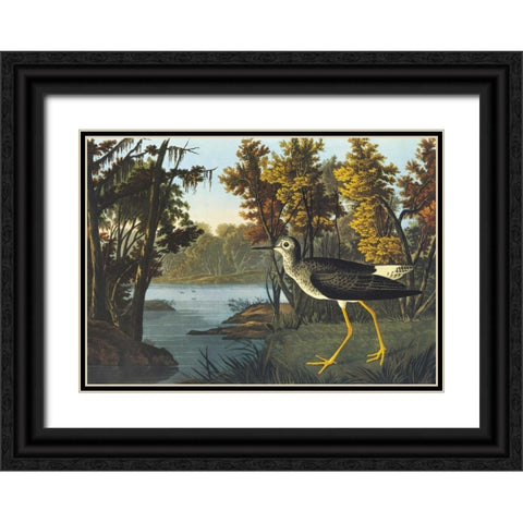 Yellow Shank Black Ornate Wood Framed Art Print with Double Matting by Audubon, John James