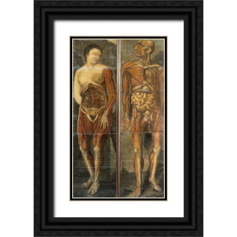 Anatomical Drawings of Male and Female Figures Black Ornate Wood Framed Art Print with Double Matting by Dagoty, Jacques Fabian Gautier